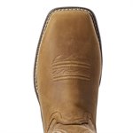 Ariat Ladies 10" Anthem Waterproof Compostie Toe Work Boot